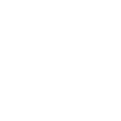 akcija